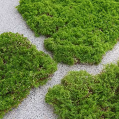 Moss-block-01.jpg