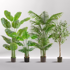 potted-plants-03.jpg