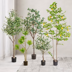 potted-plants-04.jpg