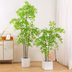 potted-plants-05.jpg