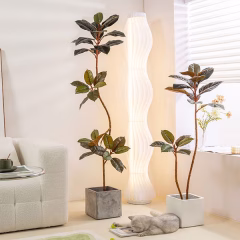 potted-plants-06.jpg
