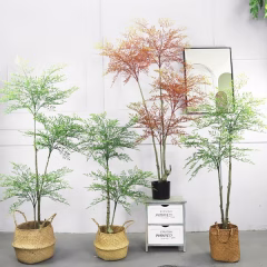 potted-plants-07.jpg
